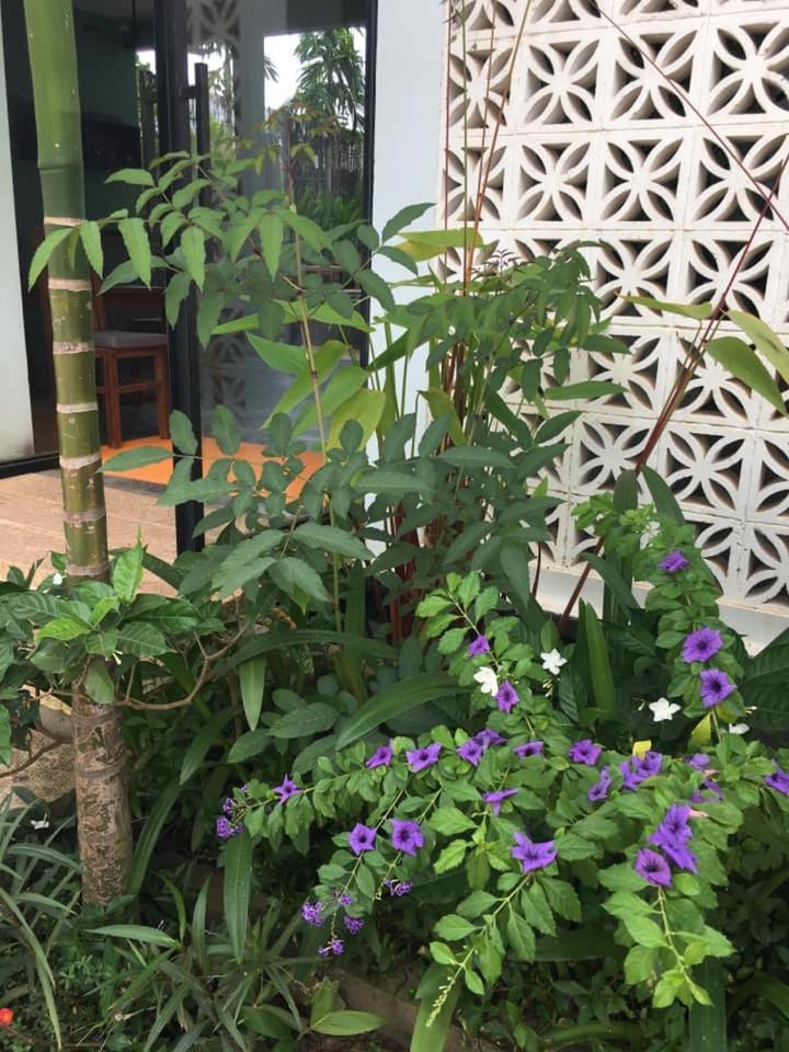 Villa D'Orange Siem Reap Luaran gambar